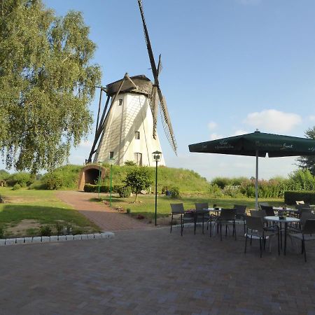 Landgasthaus Zur Muehlenwirtin Petershagen Luaran gambar
